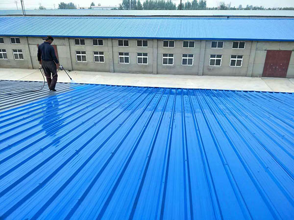 衡南 彩钢瓦喷漆翻新工业厂房、仓库